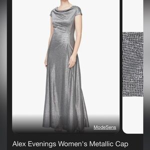 Alex evening silver gown